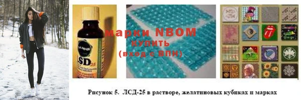 крисы Баксан