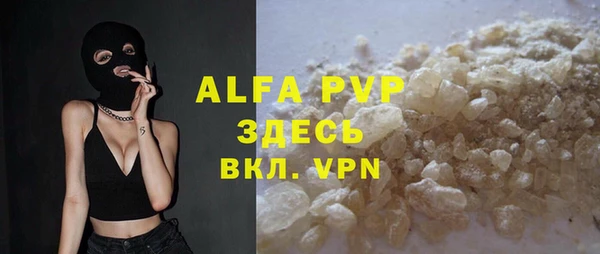 крисы Баксан