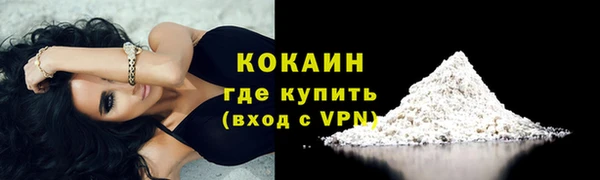 крисы Баксан