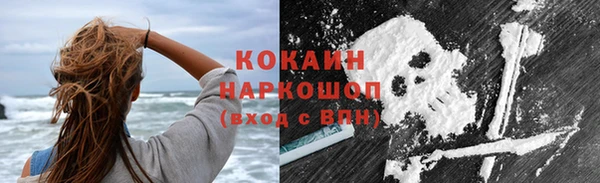 крисы Баксан